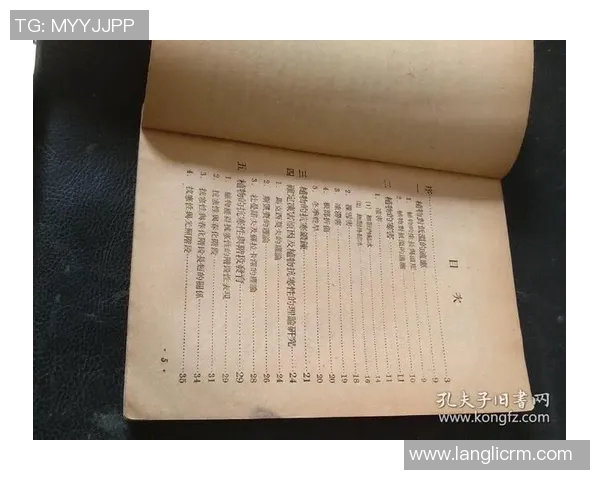 竞技体操规则全解析与赛事评判标准的深度解读